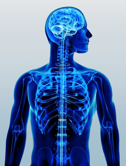 X-Ray Scans